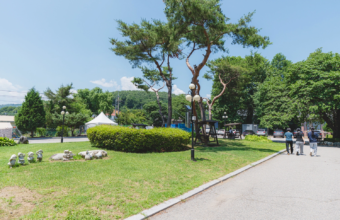 에듀셀파 여학생 독학기숙학원 정원